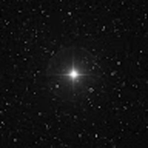 Meet your Posher, Henry